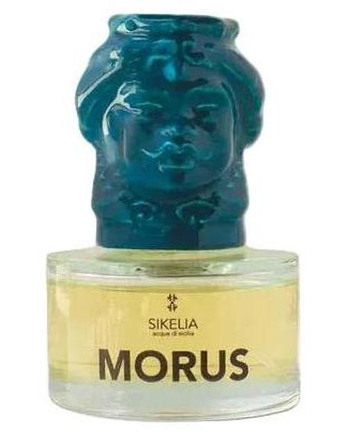 MOrus