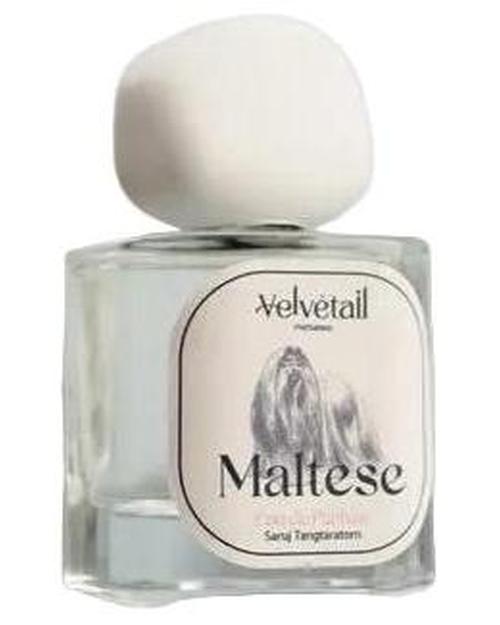 Maltese